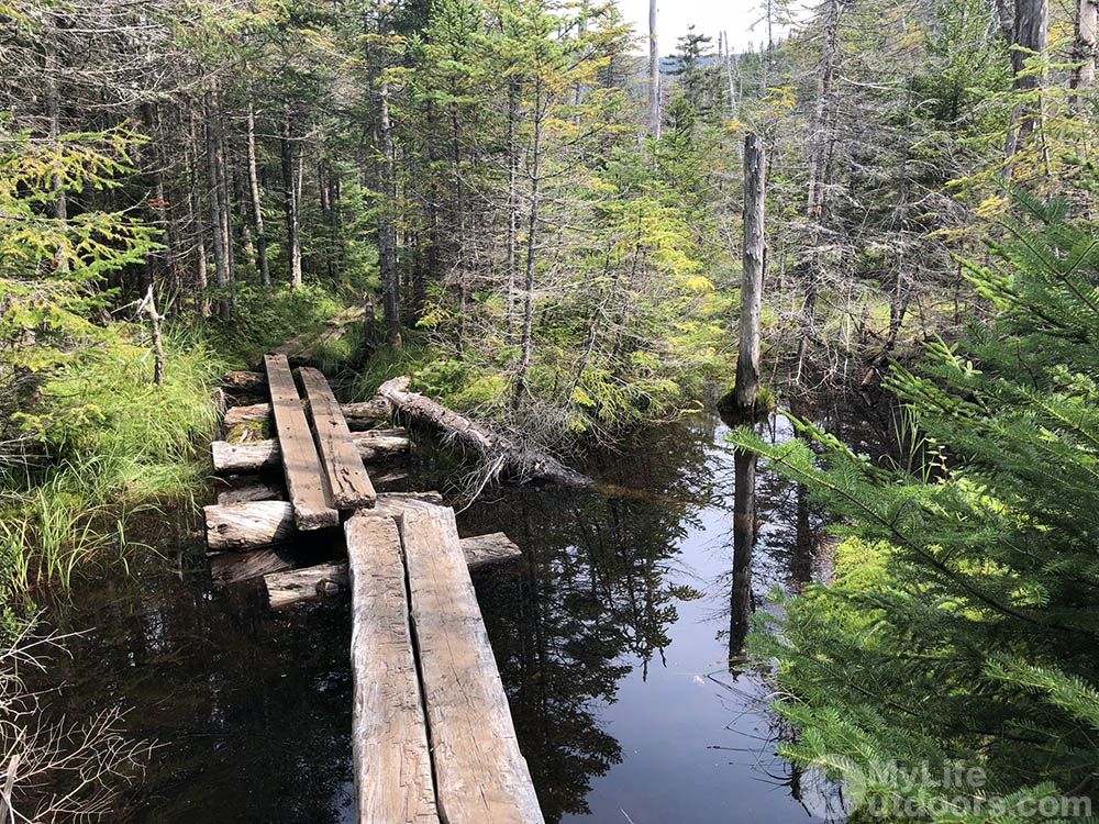 Bog bridges for days