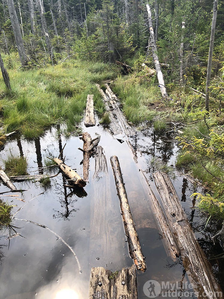 Bog bridges that have slowly deteriorated 