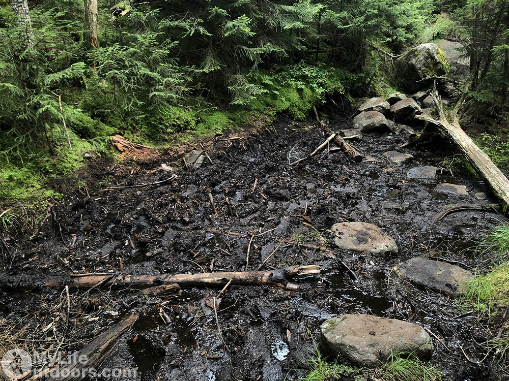 Muddy Trail