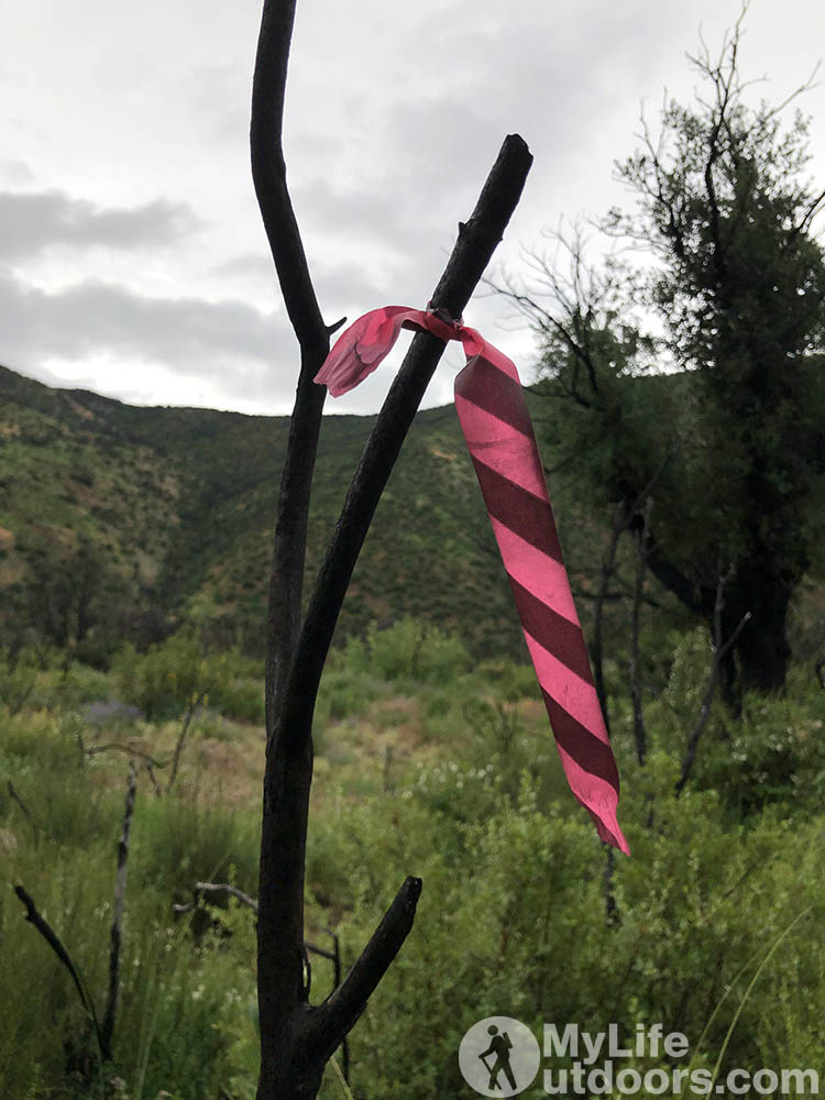 Ribbon to help find the trail - Matilija Canyon