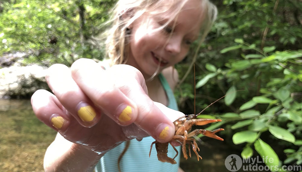 Catching Crawfish in a creek on the Eagle Rock Loop