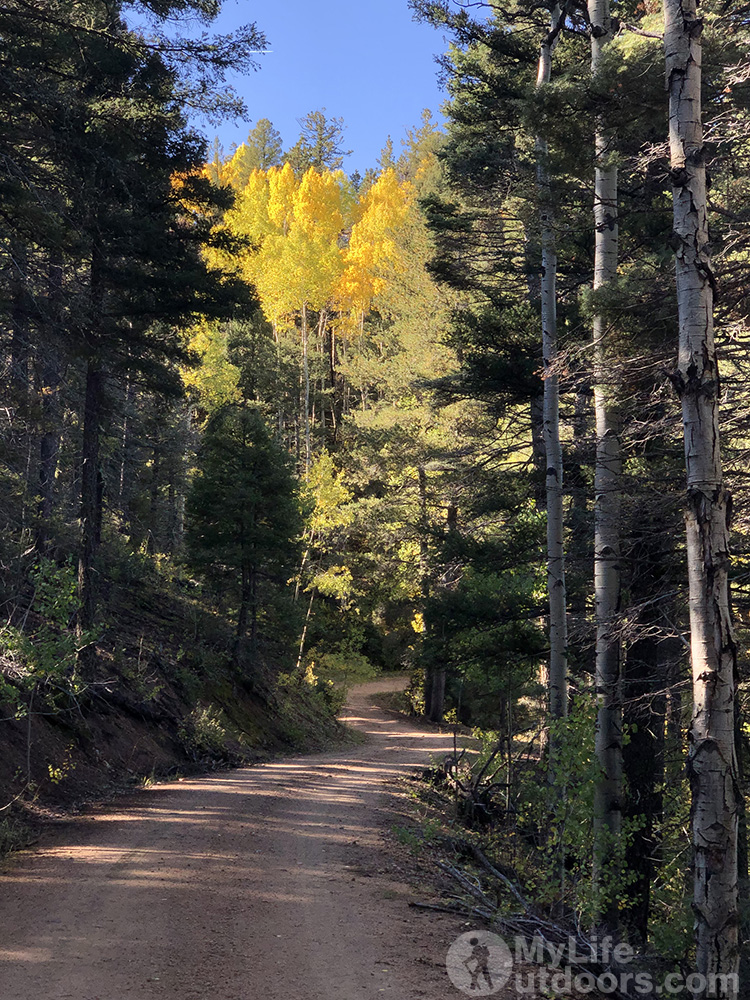 Hiking Forest Service Road 639 Carson NF