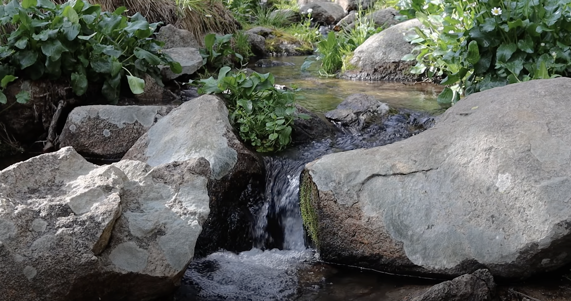 Beautiful Outdoor Water Source